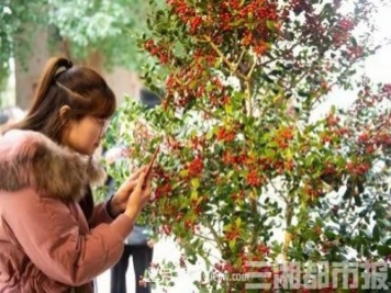 湘贛邊首屆花木博覽會(huì )在湖南瀏陽(yáng)啟幕