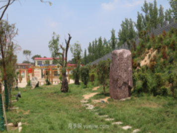 鄉村綠化美化：河南西姜寨村