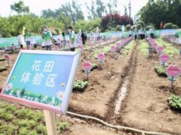 漯河城管園林科研所，邀請400余位市民花田體驗栽花