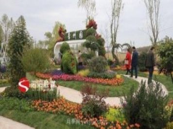 第十一屆中國月季展覽會(huì )：走進(jìn)常州展園