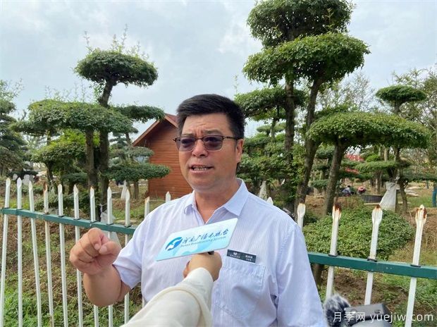 河南鄢陵花木市場(chǎng)助力鄉村振興 朝陽(yáng)產(chǎn)業(yè)帶來(lái)百姓致富路(圖2)