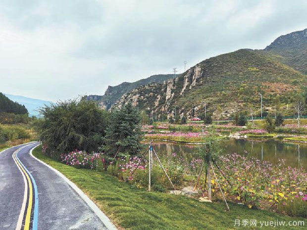 河南鄢陵花木市場(chǎng)助力鄉村振興 朝陽(yáng)產(chǎn)業(yè)帶來(lái)百姓致富路(圖3)