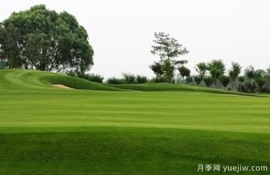 草坪何時(shí)需要澆水？(圖1)