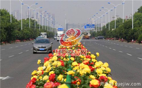 城市內建設“月季大道”竟這么流行！(圖1)
