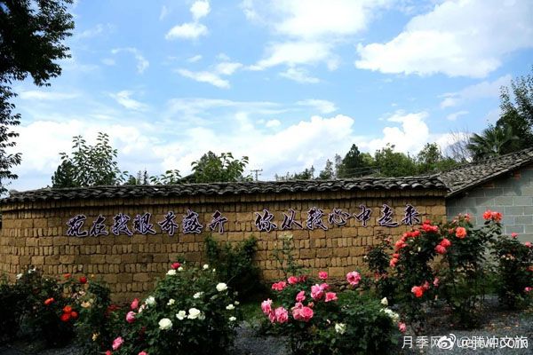 月季與美麗鄉村：保山騰沖老寨子，花在我眼前盛開(kāi)(圖3)