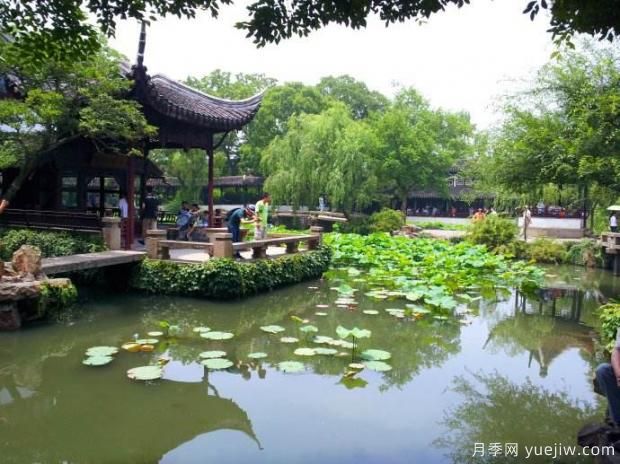 如何做好園林綠化工程決算？(圖1)