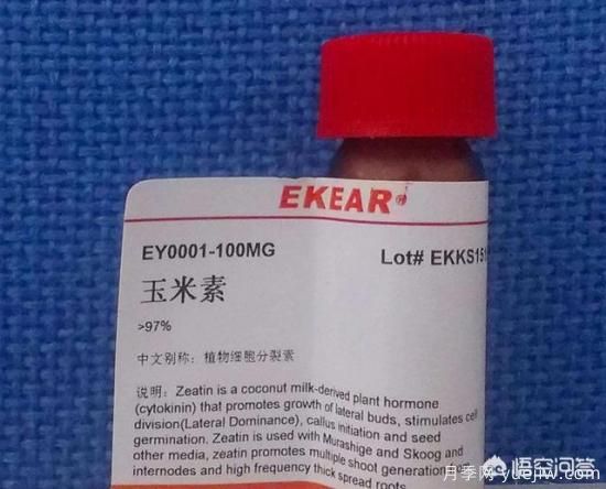 常見(jiàn)的花卉生長(cháng)調節劑都有哪些？它們都起什么作用？(圖3)