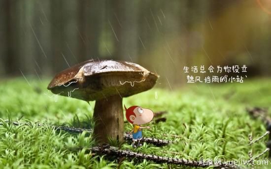 園林綠化常用的耐陰植物有哪些？(圖1)
