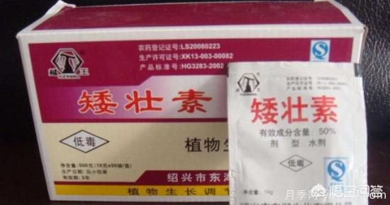 常見(jiàn)的花卉生長(cháng)調節劑都有哪些？它們都起什么作用？(圖4)