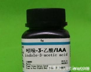 常見(jiàn)的花卉生長(cháng)調節劑都有哪些？它們都起什么作用？(圖2)