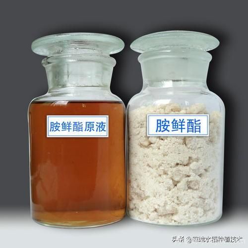 常見(jiàn)的花卉生長(cháng)調節劑都有哪些？它們都起什么作用？(圖8)