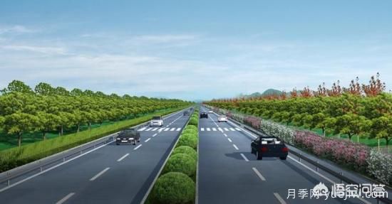 道路綠化苗木一般有哪些？(圖4)