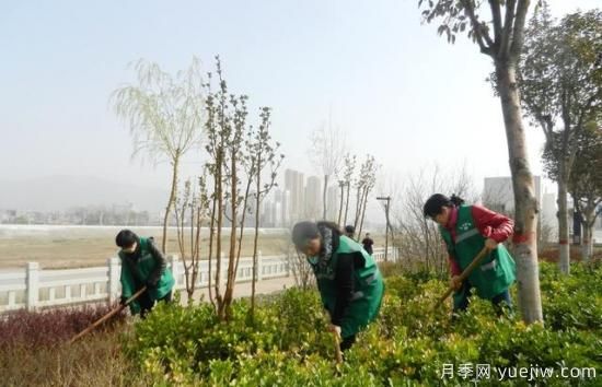 如何做園林的綠化養護工作？(圖6)