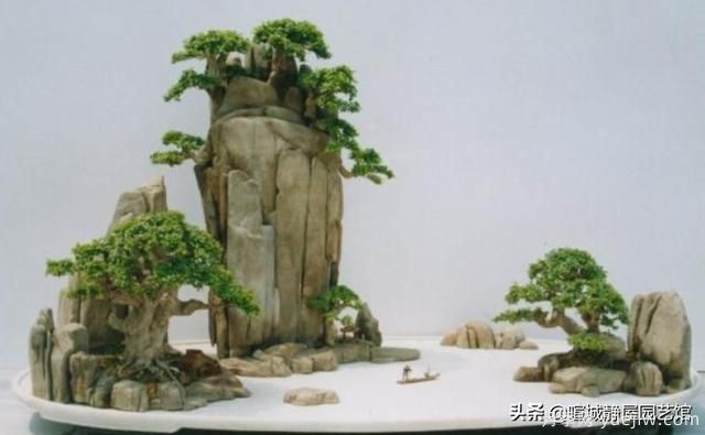 什么是山水盆景？山水盆景的形式有哪些？(圖2)