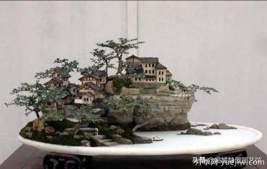 什么是山水盆景？山水盆景的形式有哪些？(圖1)