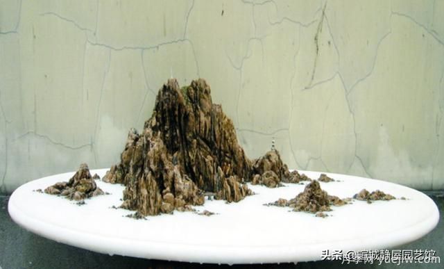 什么是山水盆景？山水盆景的形式有哪些？(圖3)