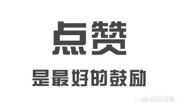 彩葉樹(shù)種哪些適合南方種植？表現要好些的！(圖3)