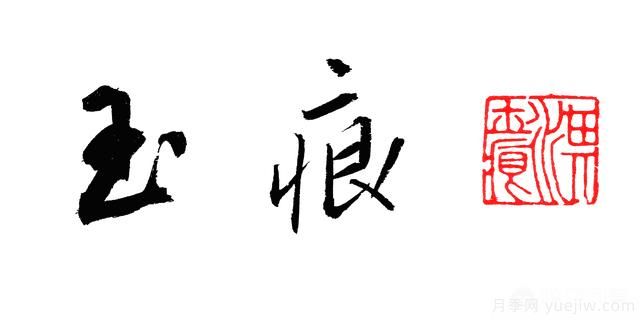 ***香的幾款月季品種是什么？ 什么品種的月季花(圖6)