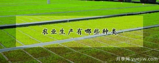 農業(yè)生產(chǎn)有哪些種類(lèi)(圖1)