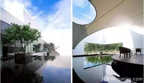 庭院設計與植物搭配的6大風(fēng)格和30種玩法(圖15)
