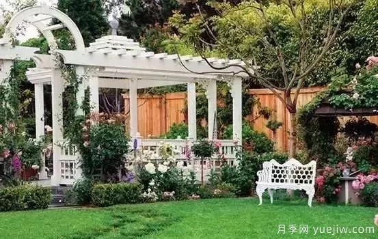 庭院設計與植物搭配的6大風(fēng)格和30種玩法(圖22)