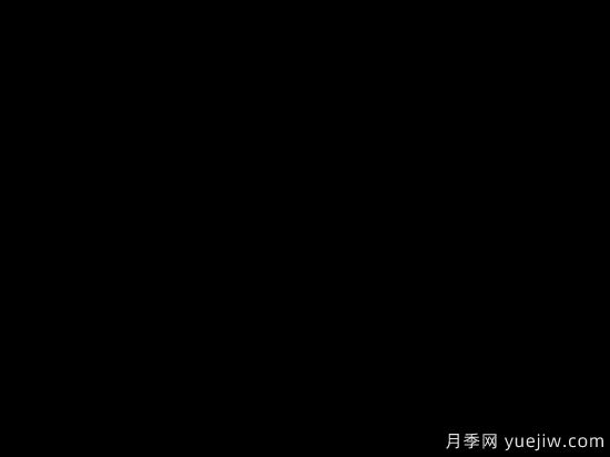 中國本土40個(gè)花卉品種介紹，我國是世界花園之母(圖30)