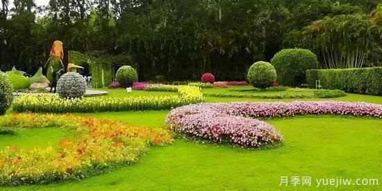 園林人必須知道的100個(gè)花卉基礎知識點(diǎn)(圖3)
