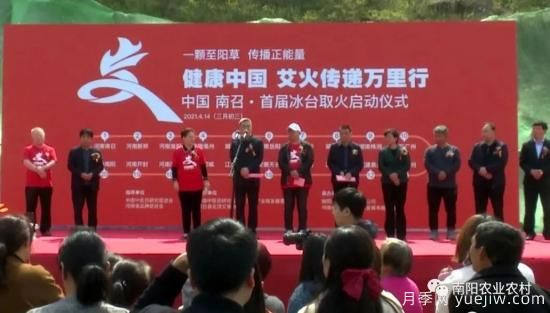 南陽(yáng)南召：以艾草為媒 拓寬致富新路子(圖1)