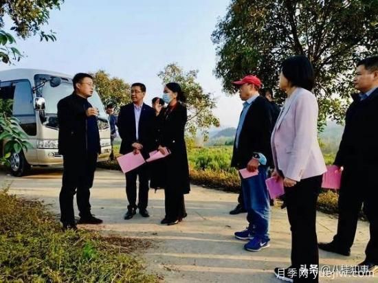信陽(yáng)新縣：鄉村振興有良方，豫南村莊漫山香(圖2)