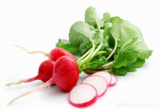 100種常見(jiàn)花卉的栽培大全，送給愛(ài)養花的你(圖52)