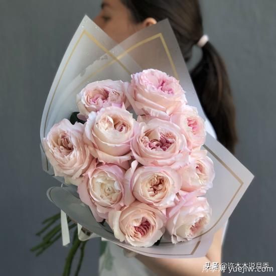 35個(gè)奧斯汀官方推薦的月季品種，抗病強長(cháng)勢好開(kāi)花多花友必選(圖10)