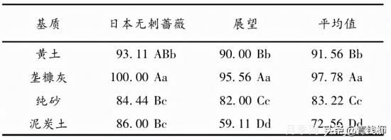 湖南湘中地區月季露地扦插試驗(圖2)