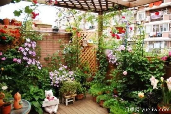 什么是園藝？就是用植物的生命影響人的生命！(圖1)