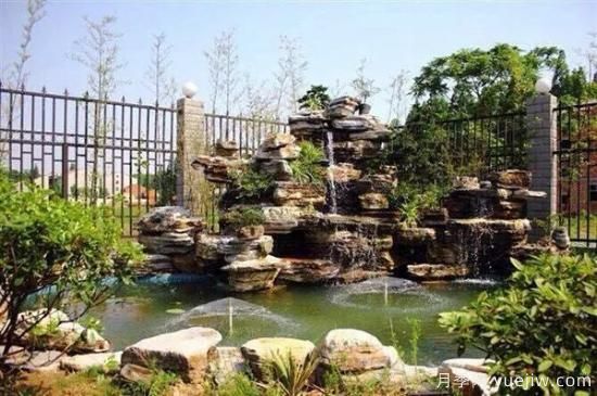 假山植物有哪些？如何造景？(圖1)