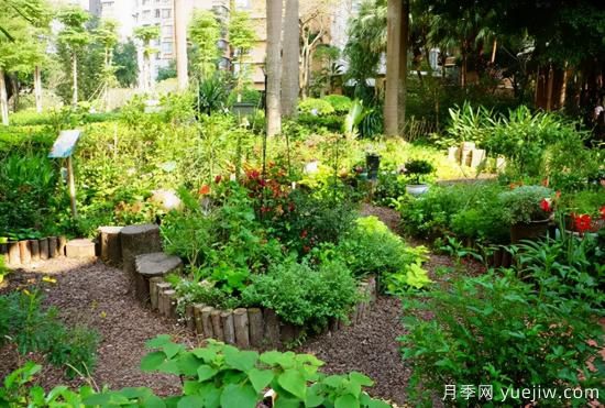 未來(lái)花園的流行趨勢(圖1)