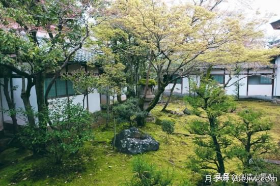 冬季植物應該怎么打理，才能來(lái)年依舊繁花似錦(圖2)