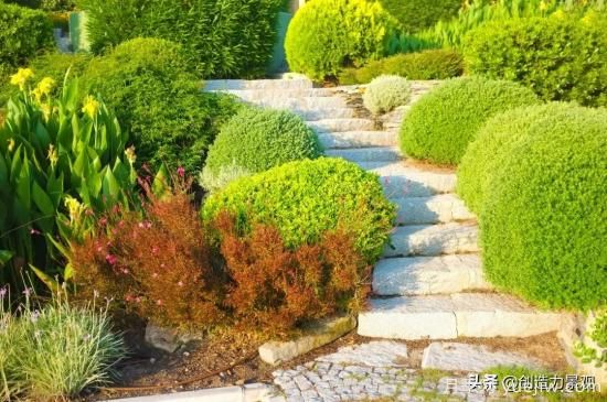 冬季植物應該怎么打理，才能來(lái)年依舊繁花似錦(圖3)