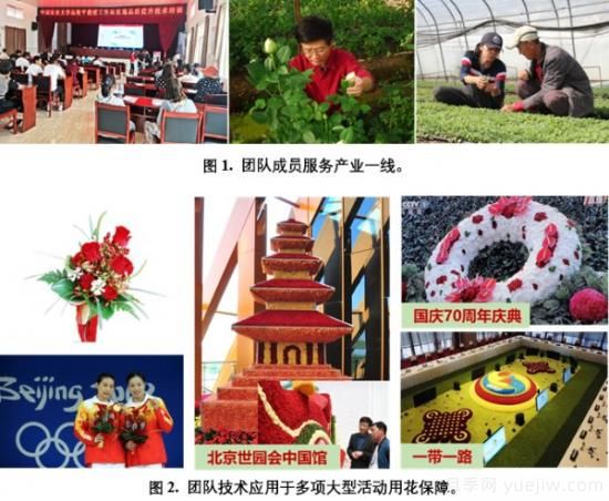 中國農大鮮花品控團隊助推花卉種質(zhì)創(chuàng  )新與供應鏈技術(shù)升級(圖1)