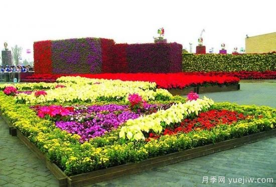 城市園林中美麗的花壇是如何設計制作的？(圖2)