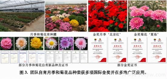 中國農大鮮花品控團隊助推花卉種質(zhì)創(chuàng  )新與供應鏈技術(shù)升級(圖2)