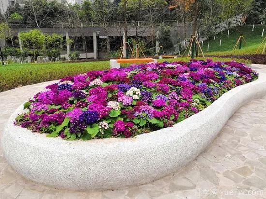 城市園林中美麗的花壇是如何設計制作的？(圖3)