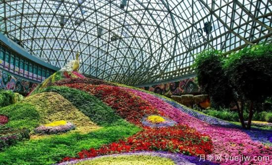 標準體系建設助力中國花卉產(chǎn)業(yè)提檔升級(圖1)