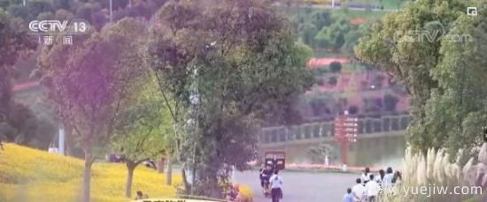 云南彌勒美麗鄉村：荒山變身花園，風(fēng)光旖旎如畫(huà)(圖3)