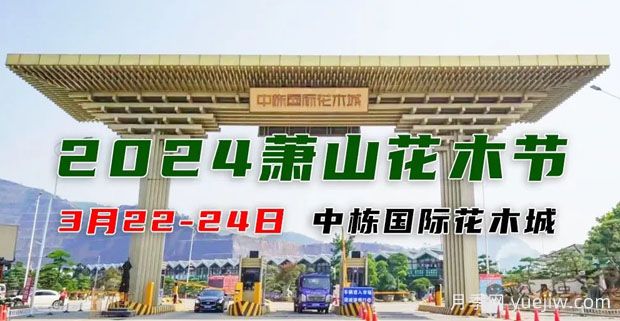 2024中國(蕭山)花木節暨第十七屆中國園林綠化產(chǎn)業(yè)交易會(huì )(圖1)